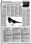 Perthshire Advertiser Tuesday 13 February 1996 Page 27