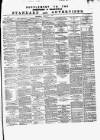 Dumfries and Galloway Standard Wednesday 04 February 1874 Page 9