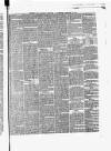 Dumfries and Galloway Standard Wednesday 11 February 1874 Page 5