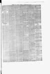 Dumfries and Galloway Standard Wednesday 20 May 1874 Page 3