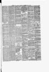 Dumfries and Galloway Standard Wednesday 20 May 1874 Page 5