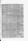 Dumfries and Galloway Standard Wednesday 15 July 1874 Page 11