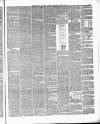 Dumfries and Galloway Standard Saturday 05 April 1879 Page 3