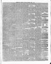 Dumfries and Galloway Standard Saturday 03 April 1880 Page 3