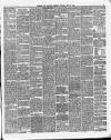 Dumfries and Galloway Standard Saturday 13 April 1889 Page 3