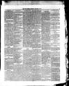 Oban Times and Argyllshire Advertiser Saturday 27 January 1877 Page 5