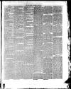 Oban Times and Argyllshire Advertiser Saturday 03 February 1877 Page 3