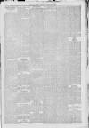 Oban Times and Argyllshire Advertiser Saturday 13 November 1880 Page 5