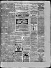 Paisley Herald and Renfrewshire Advertiser Saturday 29 March 1873 Page 7