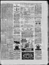 Paisley Herald and Renfrewshire Advertiser Saturday 17 January 1874 Page 8