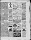 Paisley Herald and Renfrewshire Advertiser Saturday 31 January 1874 Page 7