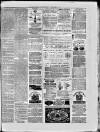 Paisley Herald and Renfrewshire Advertiser Saturday 21 March 1874 Page 8