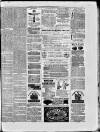 Paisley Herald and Renfrewshire Advertiser Saturday 28 March 1874 Page 8