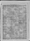 Paisley Herald and Renfrewshire Advertiser Saturday 30 January 1875 Page 4