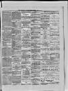 Paisley Herald and Renfrewshire Advertiser Saturday 30 January 1875 Page 6
