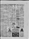 Paisley Herald and Renfrewshire Advertiser Saturday 30 January 1875 Page 8