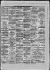 Paisley Herald and Renfrewshire Advertiser Saturday 13 February 1875 Page 5