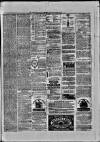 Paisley Herald and Renfrewshire Advertiser Saturday 13 February 1875 Page 7