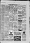 Paisley Herald and Renfrewshire Advertiser Saturday 27 February 1875 Page 8