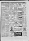 Paisley Herald and Renfrewshire Advertiser Saturday 20 March 1875 Page 8