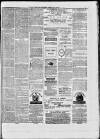 Paisley Herald and Renfrewshire Advertiser Saturday 17 April 1875 Page 8