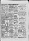 Paisley Herald and Renfrewshire Advertiser Saturday 19 June 1875 Page 6
