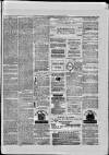 Paisley Herald and Renfrewshire Advertiser Saturday 19 June 1875 Page 8