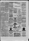 Paisley Herald and Renfrewshire Advertiser Saturday 26 June 1875 Page 7