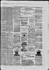 Paisley Herald and Renfrewshire Advertiser Saturday 17 July 1875 Page 8