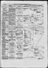 Paisley Herald and Renfrewshire Advertiser Saturday 24 July 1875 Page 6