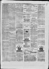 Paisley Herald and Renfrewshire Advertiser Saturday 24 July 1875 Page 8