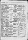 Paisley Herald and Renfrewshire Advertiser Saturday 31 July 1875 Page 6