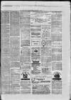 Paisley Herald and Renfrewshire Advertiser Saturday 31 July 1875 Page 8