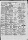 Paisley Herald and Renfrewshire Advertiser Saturday 07 August 1875 Page 6