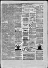 Paisley Herald and Renfrewshire Advertiser Saturday 04 September 1875 Page 8