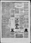 Paisley Herald and Renfrewshire Advertiser Saturday 30 October 1875 Page 7