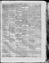 Paisley Herald and Renfrewshire Advertiser Saturday 10 March 1877 Page 4