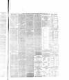 Falkirk Herald Thursday 08 April 1875 Page 6