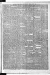 Falkirk Herald Saturday 11 March 1893 Page 5