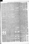 Falkirk Herald Saturday 29 April 1893 Page 5