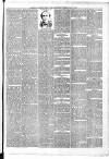 Falkirk Herald Saturday 27 May 1893 Page 5