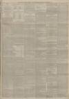 Falkirk Herald Saturday 03 November 1894 Page 3