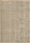 Falkirk Herald Saturday 20 April 1895 Page 7