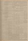 Falkirk Herald Saturday 23 March 1901 Page 5