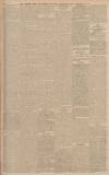 Falkirk Herald Wednesday 24 February 1904 Page 5