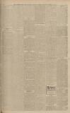 Falkirk Herald Wednesday 29 March 1905 Page 5