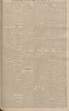 Falkirk Herald Wednesday 18 April 1906 Page 5