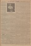 Falkirk Herald Wednesday 09 January 1907 Page 5