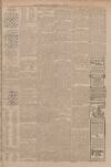 Falkirk Herald Wednesday 20 January 1909 Page 7