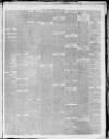 Southern Reporter Thursday 21 October 1880 Page 3